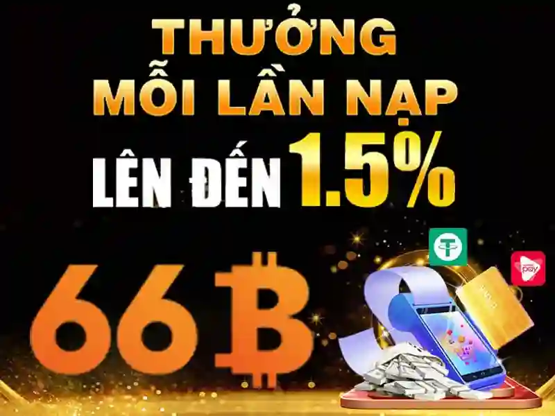 Ứng dụng của 66b trong công nghệ và doanh nghiệp