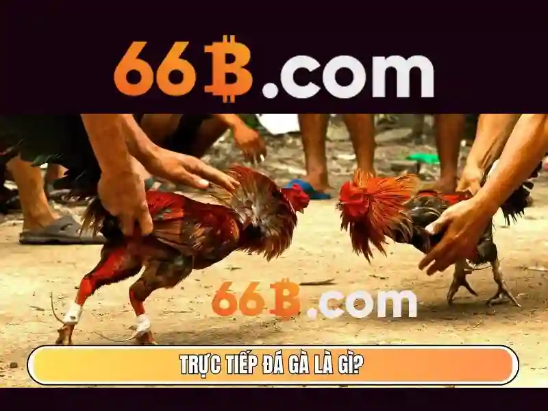 Kiến trúc và khả năng