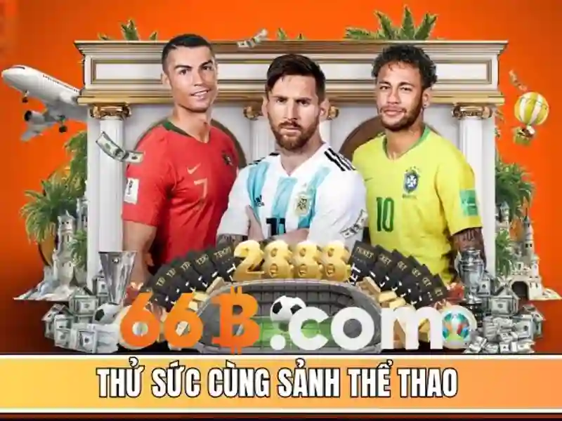 66B: Khái niệm, kích thước và ứng dụng