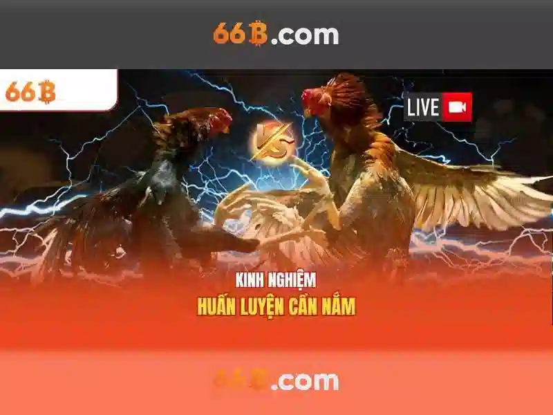 Ứng dụng và giới hạn của 66b