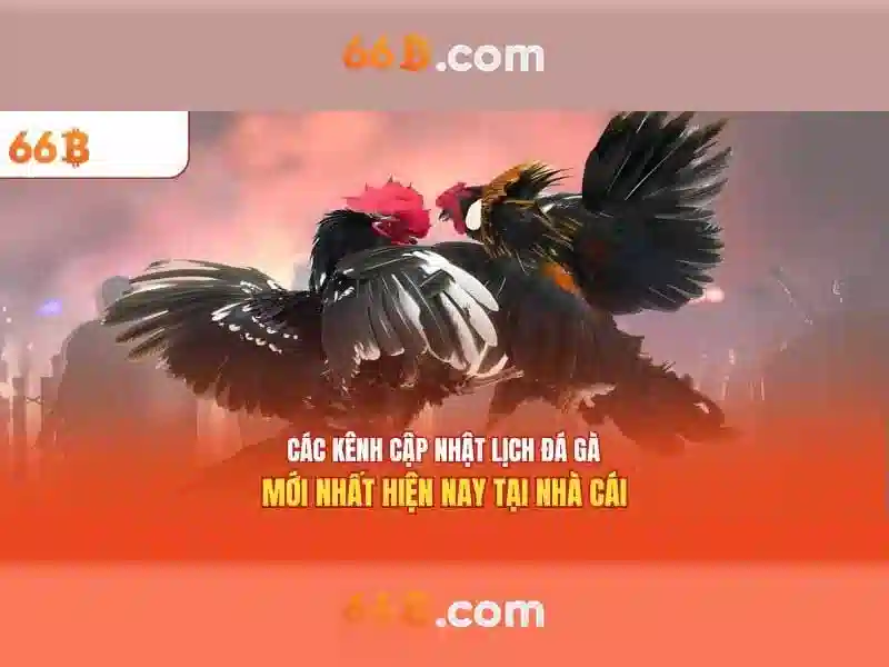 Giới thiệu về 66B