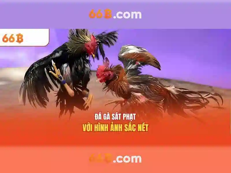 66B: Mô hình ngôn ngữ quy mô lớn và tác động của nó trong công nghệ hiện đại