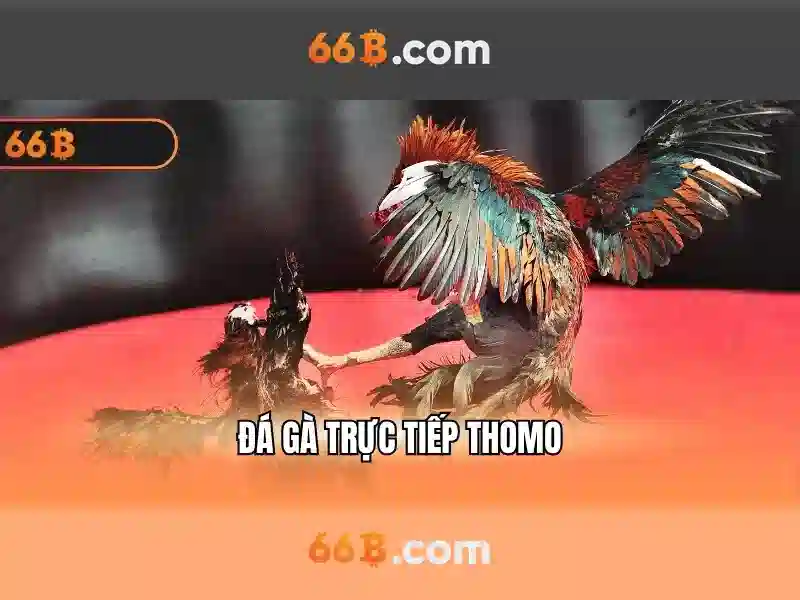 66b: một khái niệm và ký hiệu