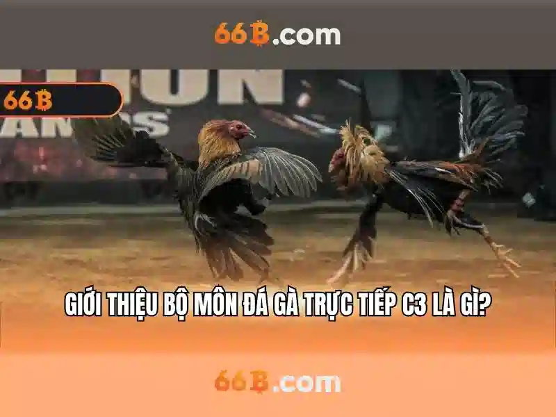 66b: một mô hình trí tuệ nhân tạo tiên tiến