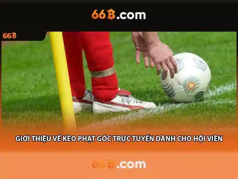 Thách thức và tương lai