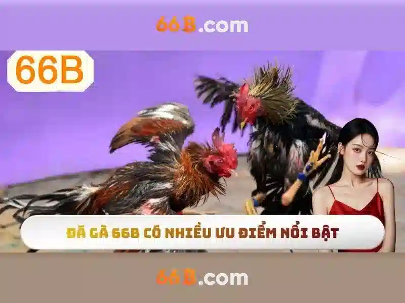 66B là gì? Nguồn gốc và ý nghĩa của ký hiệu 66B