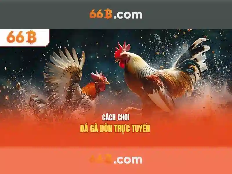 66b: khởi nguồn và ý tưởng
