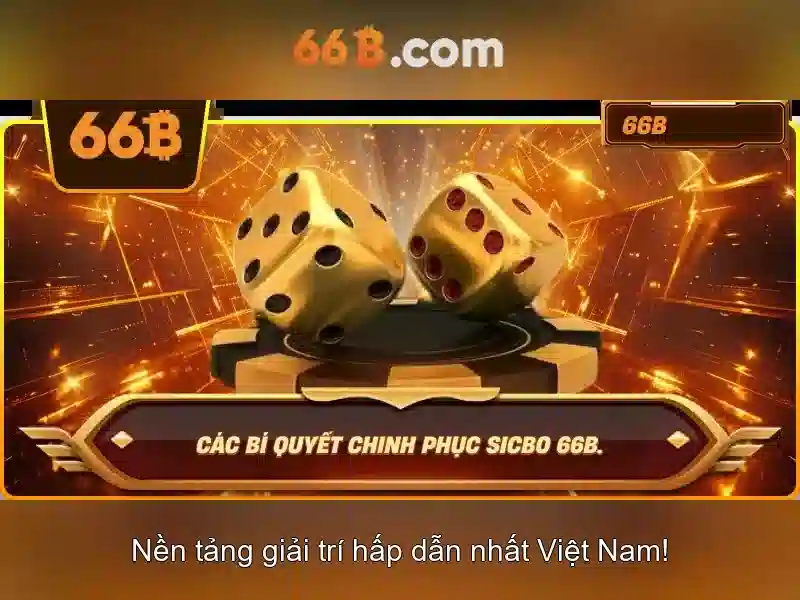 Kích thước và kiến trúc của 66b