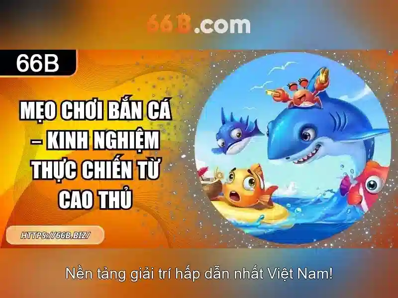 66B: khái niệm và ứng dụng