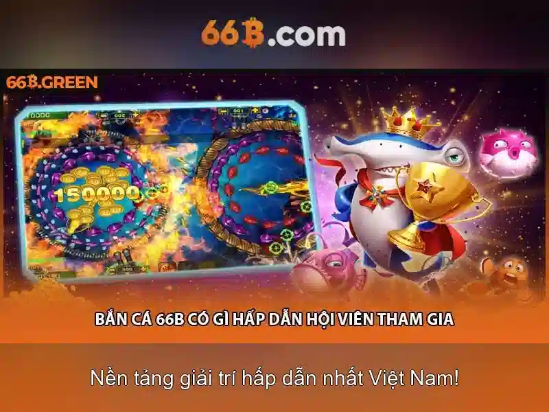 66b là gì