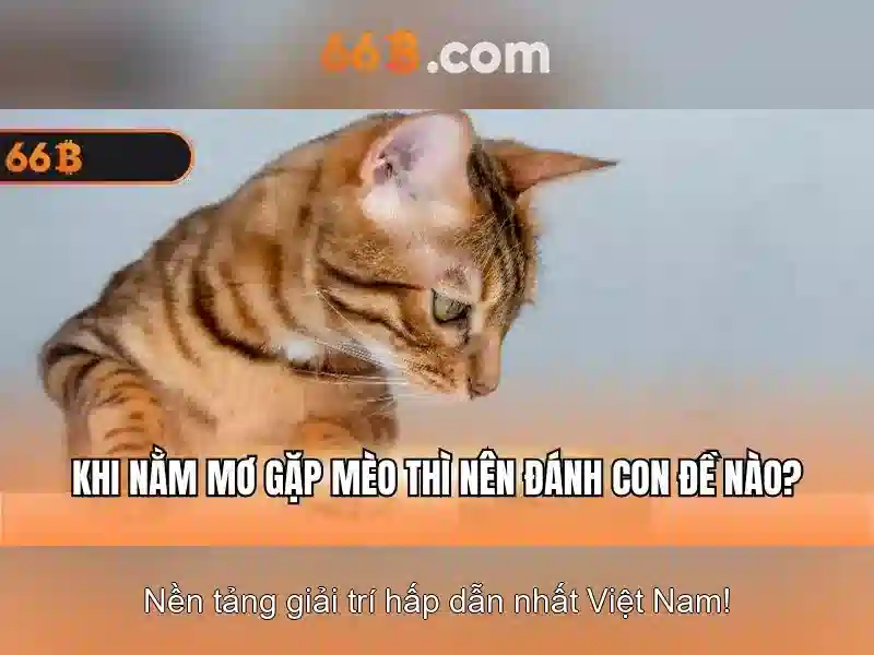 66B: Mô hình ngôn ngữ lớn 66 tỷ tham số và hành trình của nó