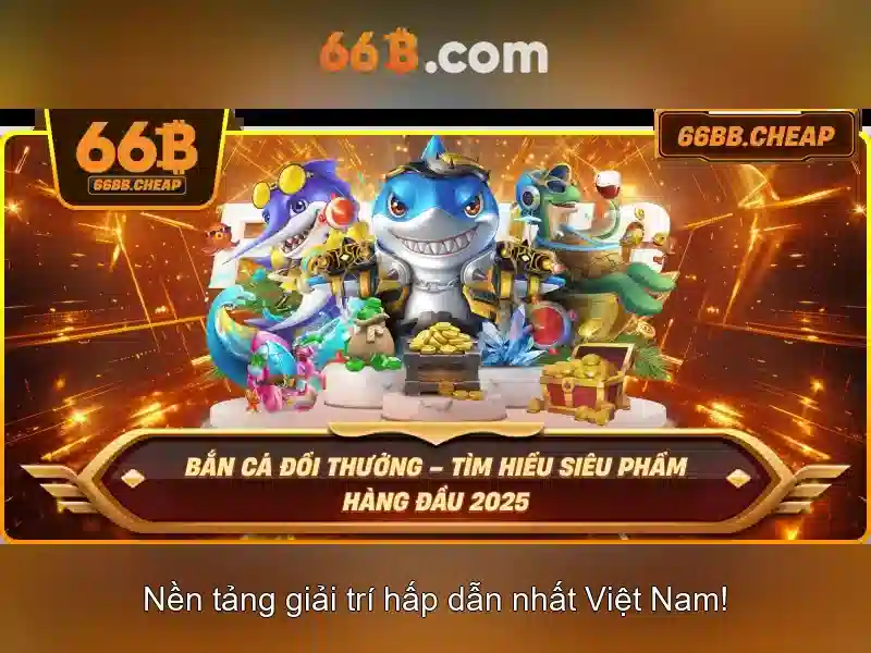 66b là gì