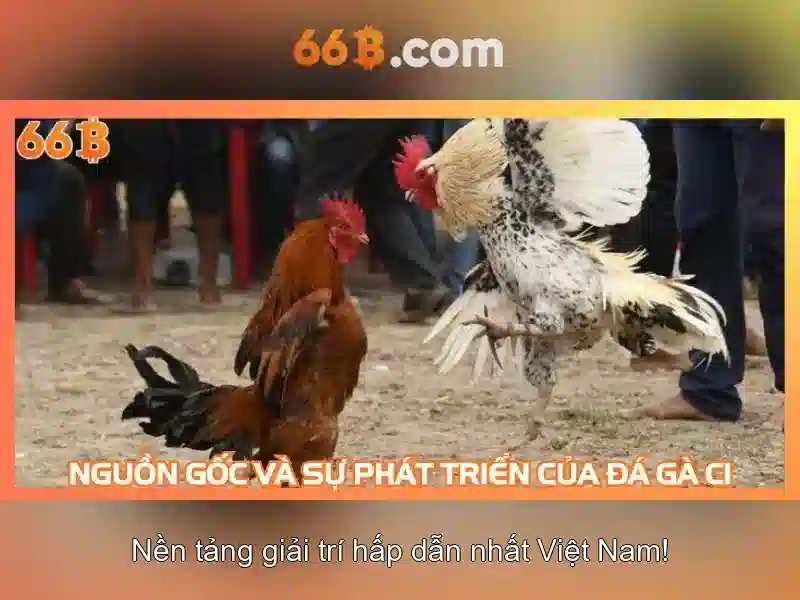 Đào tạo và dữ liệu