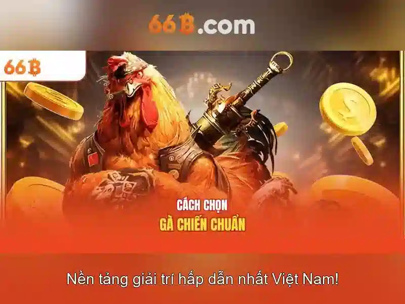 Giới thiệu về 66B