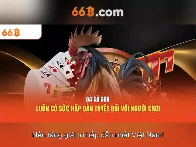 66B: Hiểu về một khái niệm công nghệ nổi bật