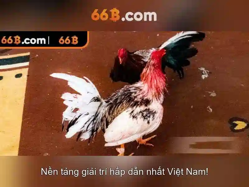 66b: Mô hình ngôn ngữ lớn đang thay đổi ngành AI