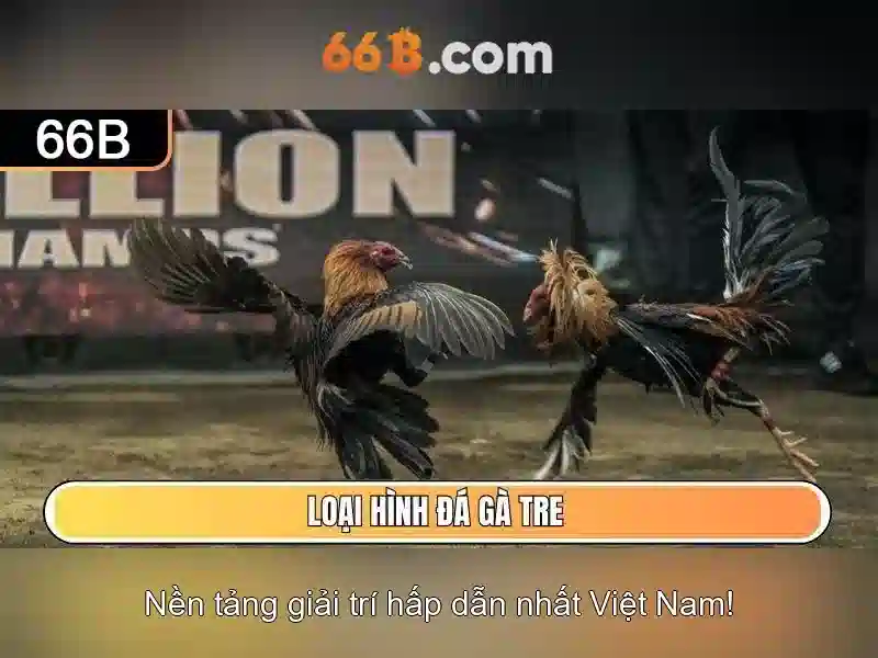 66b là gì và ứng dụng của nó trong công nghệ hiện đại