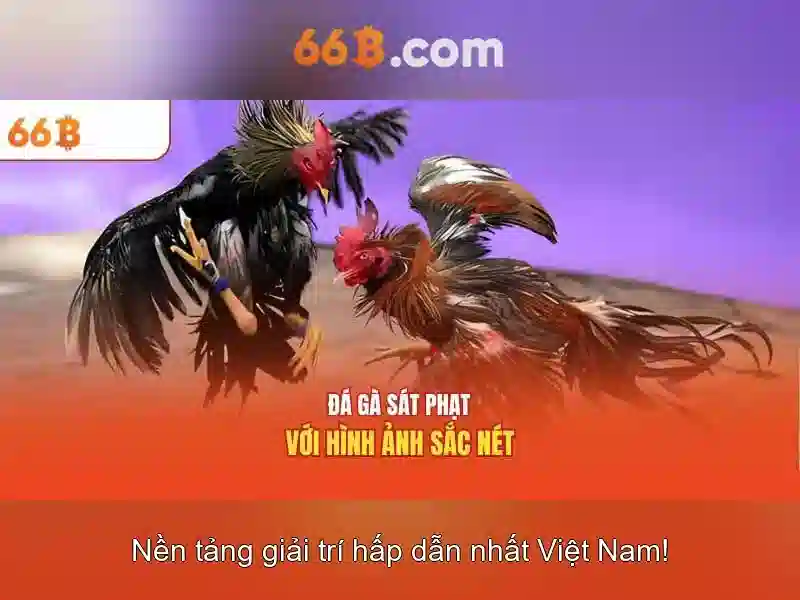 Khả năng và giới hạn