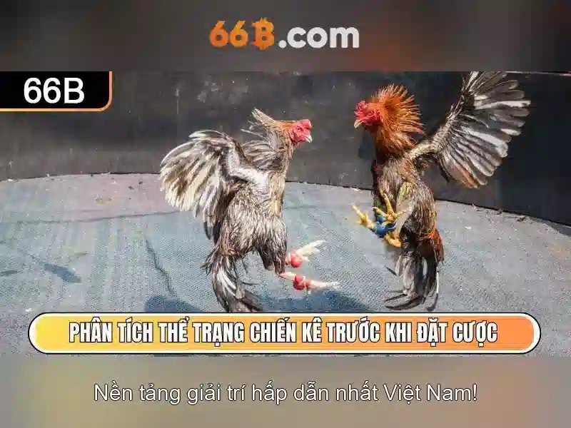 Khả năng ứng dụng của 66b