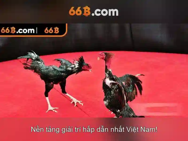 66b: Khám phá một khái niệm số và văn hóa số