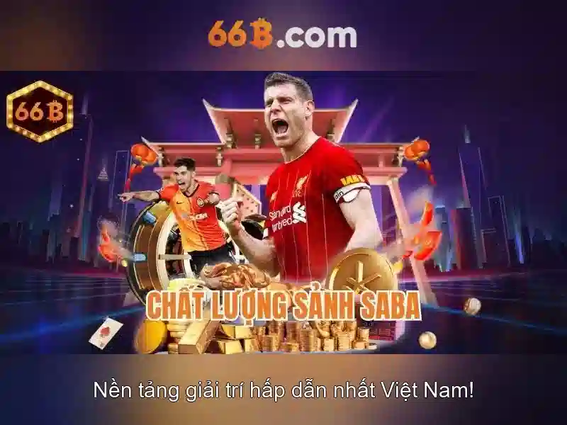 66b: Khái niệm và ảnh hưởng trong thời đại số
