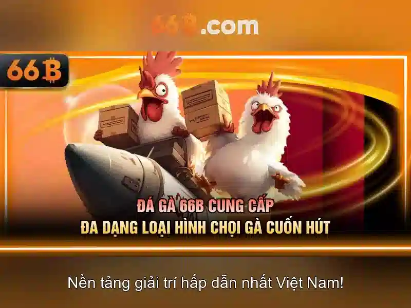 66b là gì?