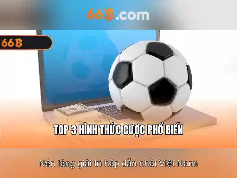 Giới thiệu về 66B