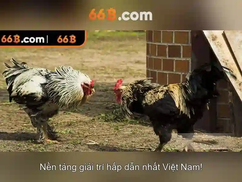 Định nghĩa 66B