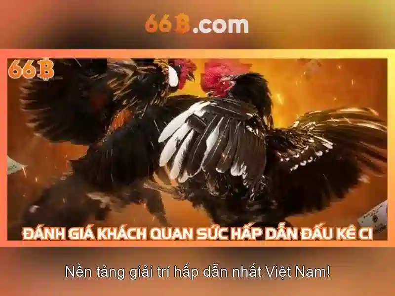 66B là gì