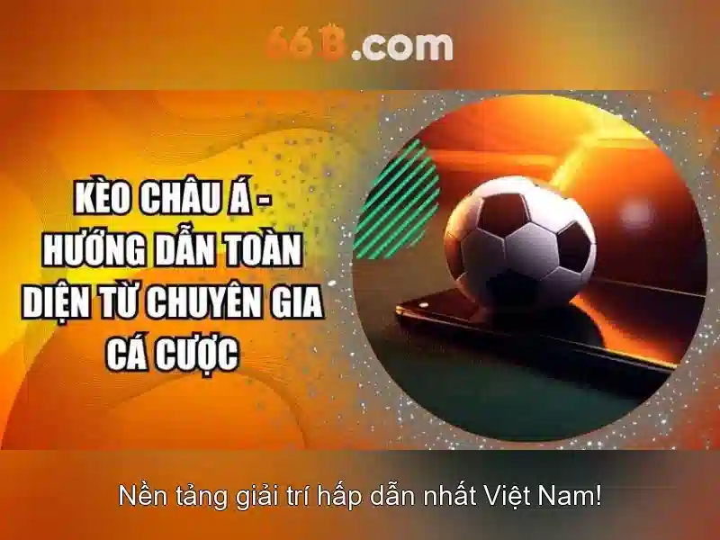 66b trong thế giới số: ý nghĩa, cấu trúc và ứng dụng
