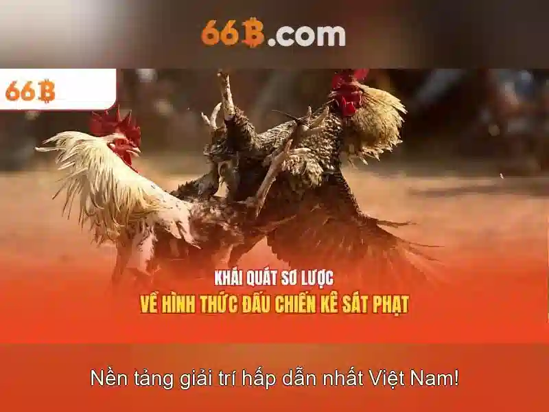 Kiến trúc và đào tạo