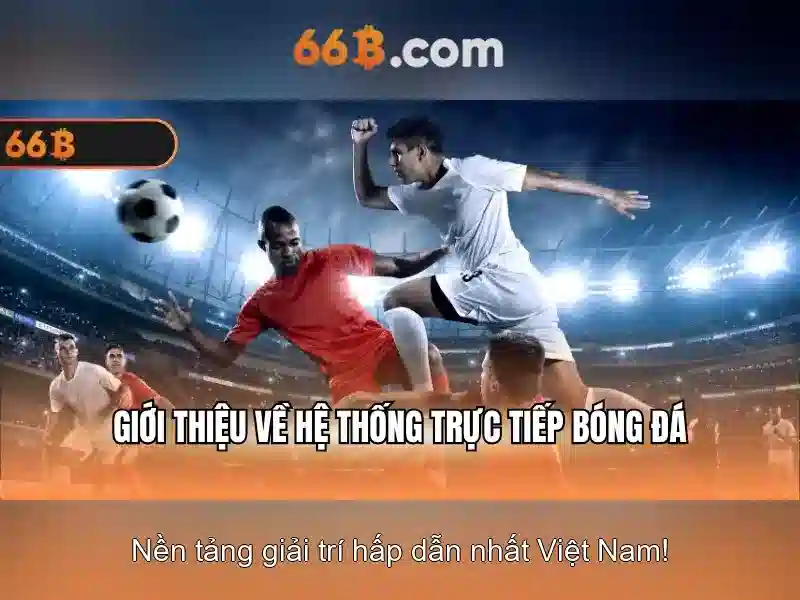 Giới thiệu về 66B