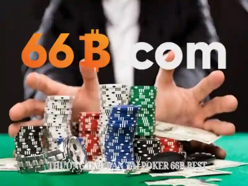 66b: Khái niệm, nguồn gốc và tầm ảnh hưởng