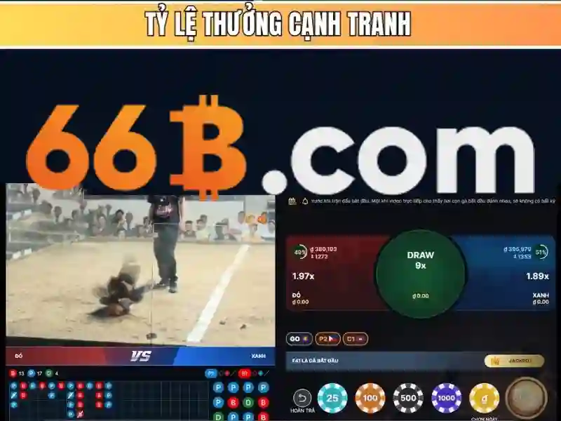 66b và ý nghĩa toán học