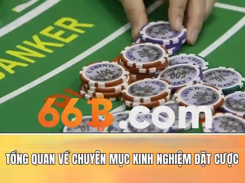 66B: Khai phóng tiềm năng của mô hình ngôn ngữ lớn