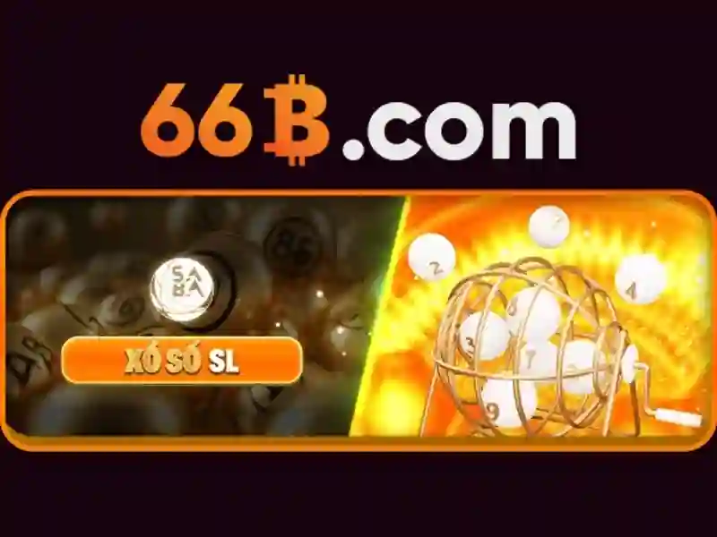 66B là gì?
