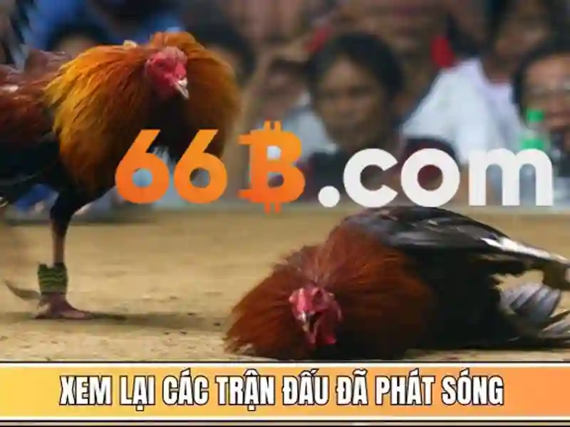 Thông số và lưu ý về tính năng