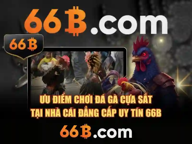 Kiến trúc và cách hoạt động
