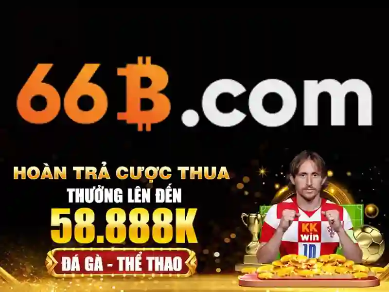 66B là gì?
